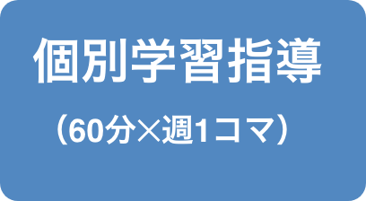 個別学習指導(60分✕週1コマ)