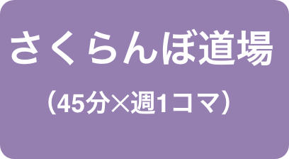 さくらんぼ道場(45分✕週1コマ)